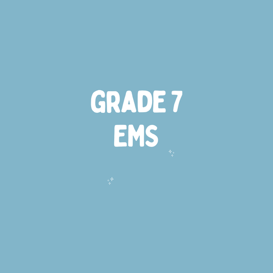 Grade 7 Economic Management Sciences – Term 3 Summary (CAPS)